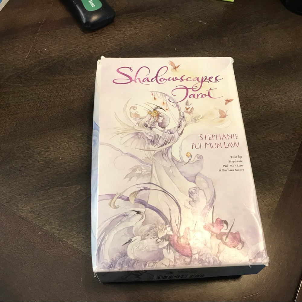 Shadowscapes Tarot by Stephanie Pui-Mun Law